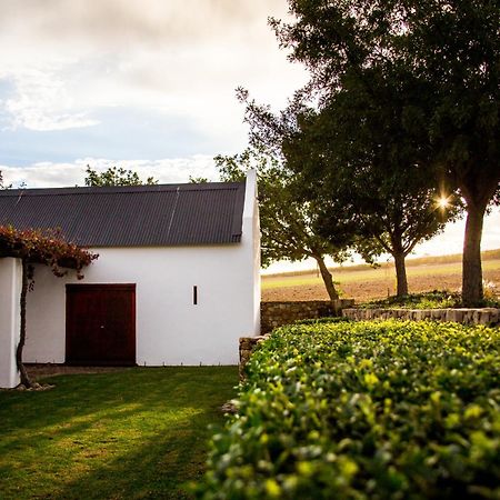 Vineyard Cottage At Bosman Wines ويلينغتون المظهر الخارجي الصورة