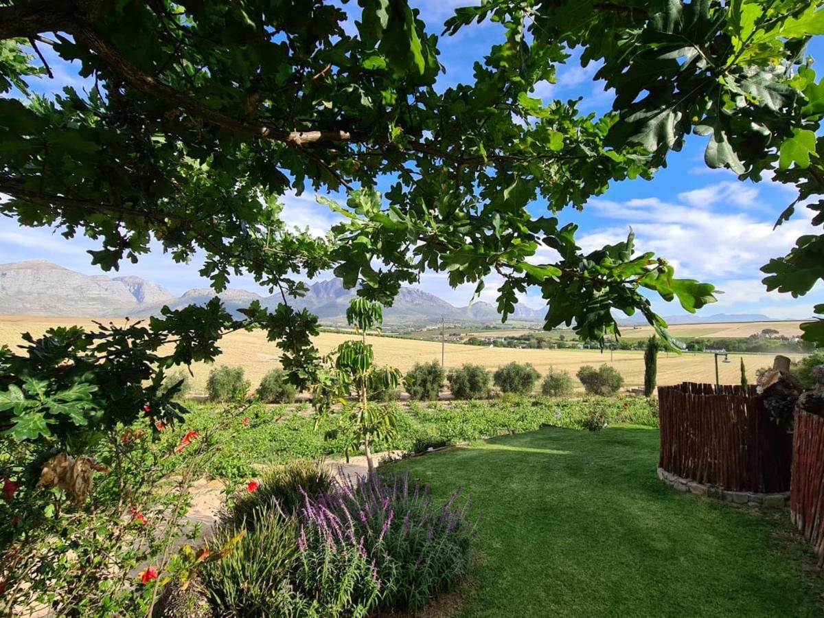 Vineyard Cottage At Bosman Wines ويلينغتون المظهر الخارجي الصورة
