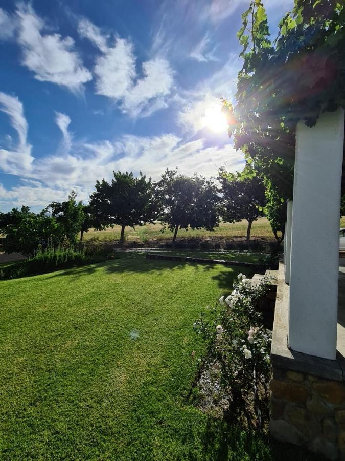 Vineyard Cottage At Bosman Wines ويلينغتون المظهر الخارجي الصورة