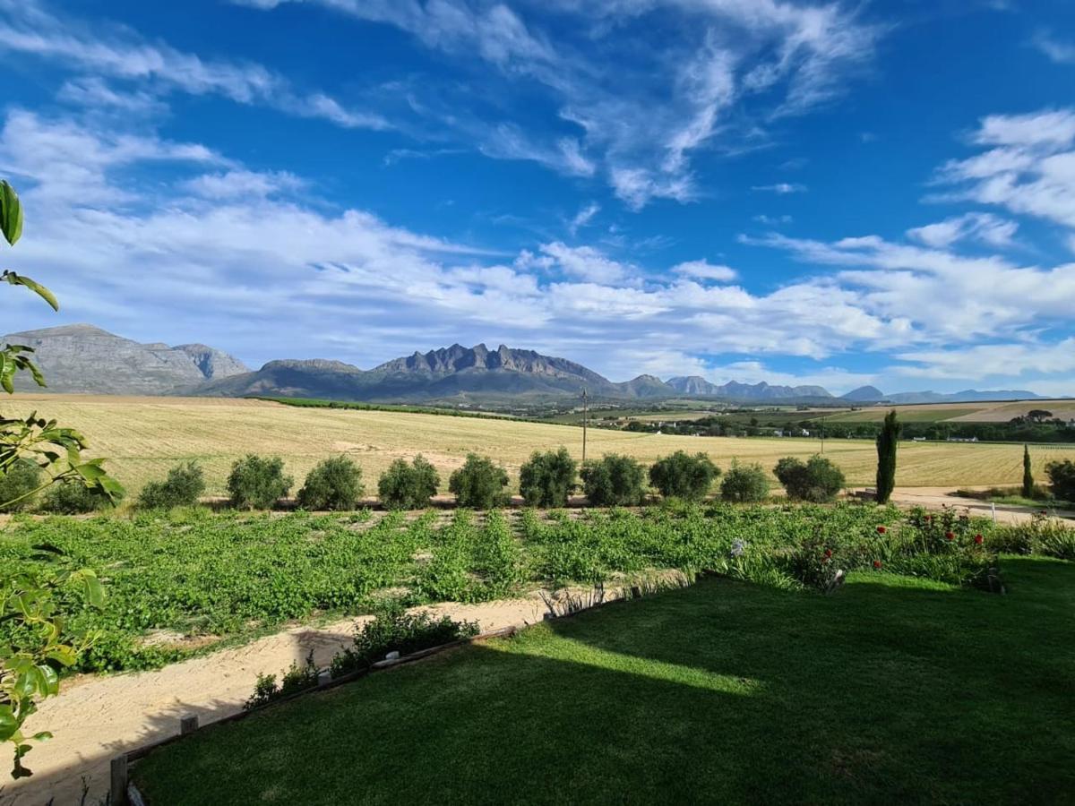 Vineyard Cottage At Bosman Wines ويلينغتون المظهر الخارجي الصورة