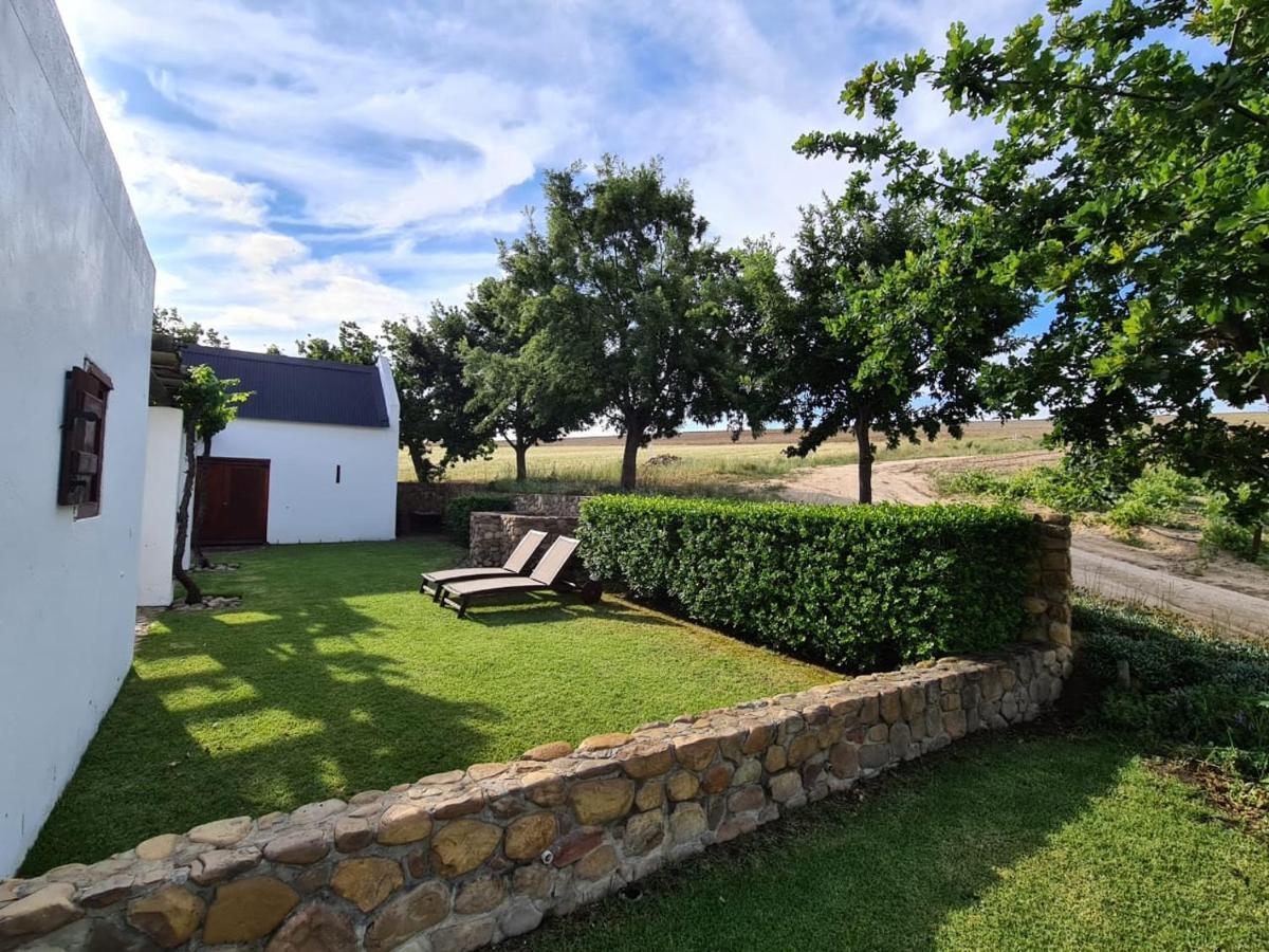 Vineyard Cottage At Bosman Wines ويلينغتون المظهر الخارجي الصورة