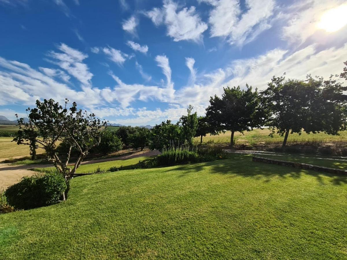 Vineyard Cottage At Bosman Wines ويلينغتون المظهر الخارجي الصورة