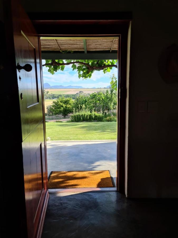 Vineyard Cottage At Bosman Wines ويلينغتون المظهر الخارجي الصورة