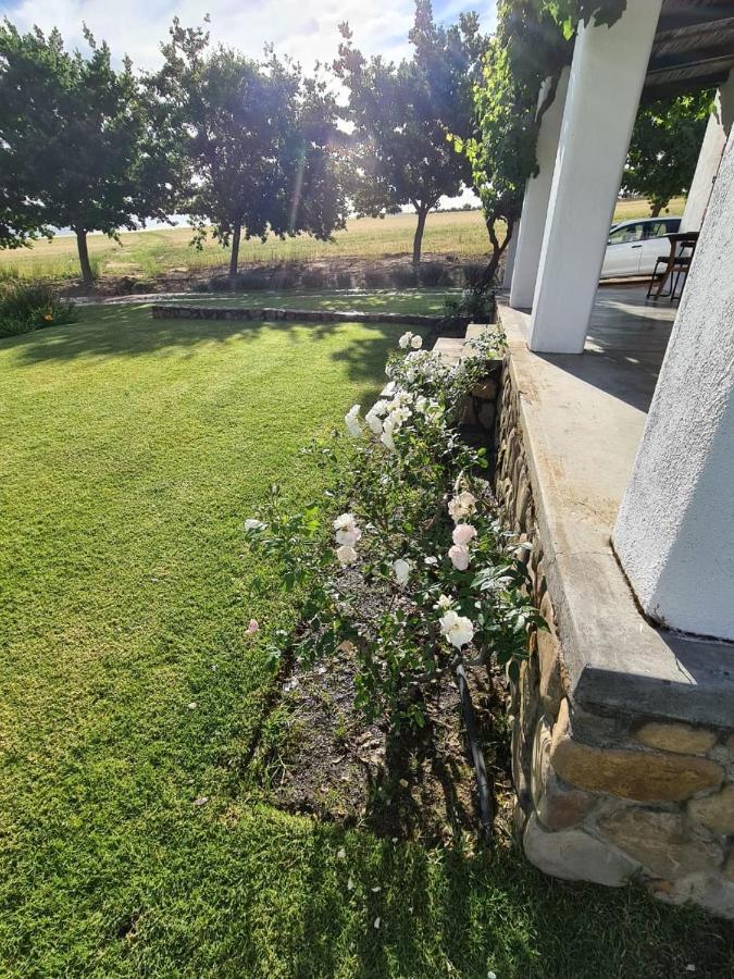 Vineyard Cottage At Bosman Wines ويلينغتون المظهر الخارجي الصورة