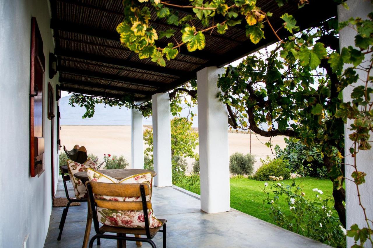 Vineyard Cottage At Bosman Wines ويلينغتون المظهر الخارجي الصورة
