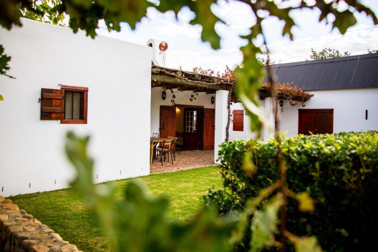 Vineyard Cottage At Bosman Wines ويلينغتون المظهر الخارجي الصورة