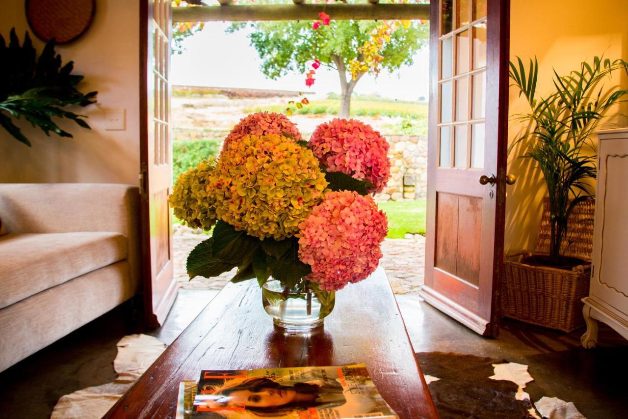 Vineyard Cottage At Bosman Wines ويلينغتون المظهر الخارجي الصورة