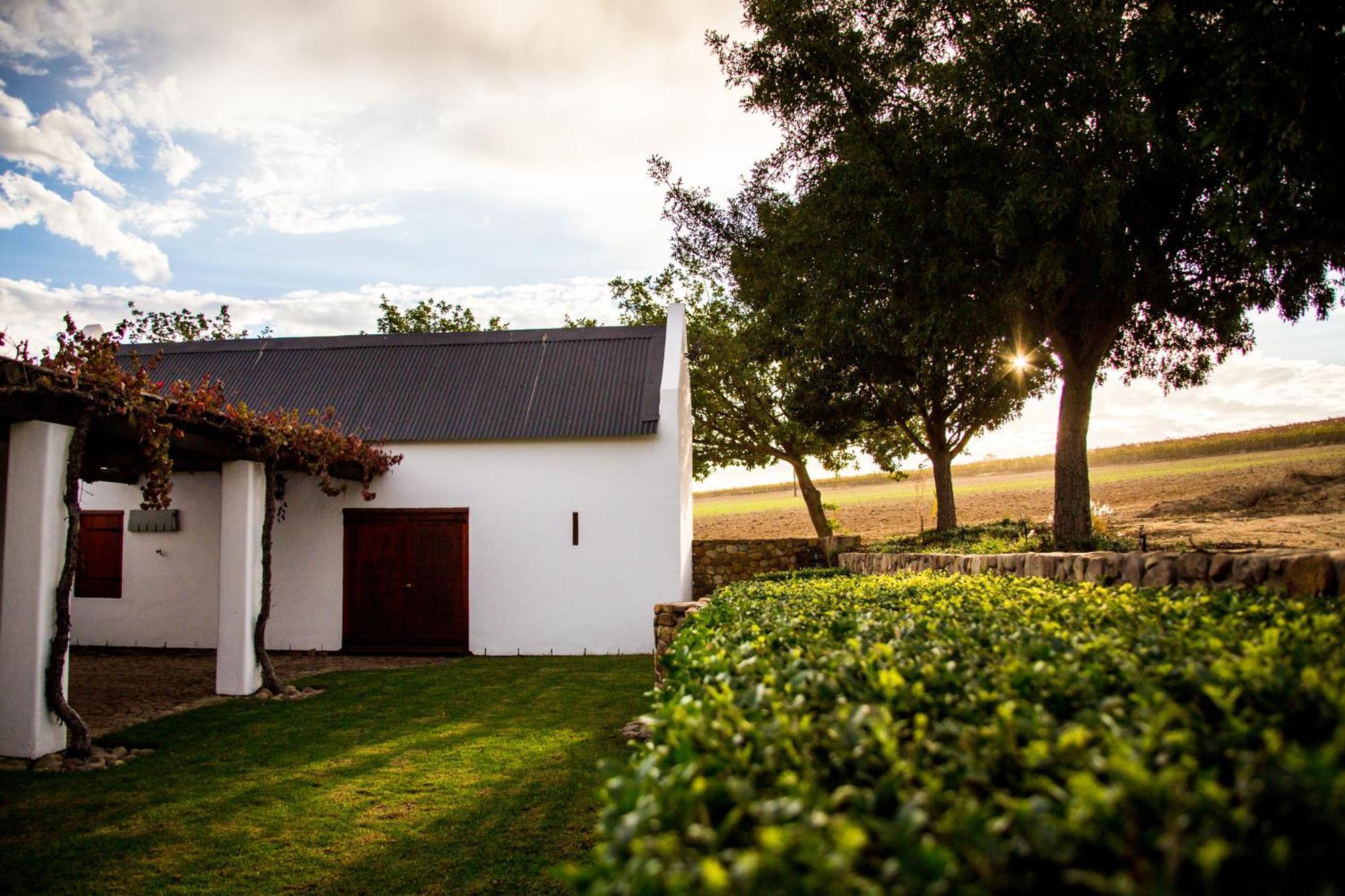 Vineyard Cottage At Bosman Wines ويلينغتون المظهر الخارجي الصورة