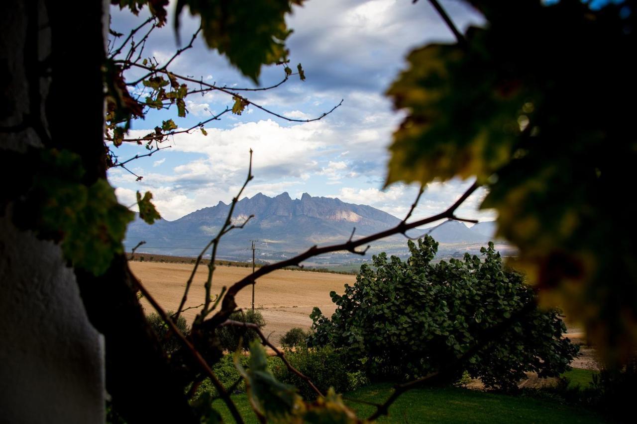 Vineyard Cottage At Bosman Wines ويلينغتون المظهر الخارجي الصورة