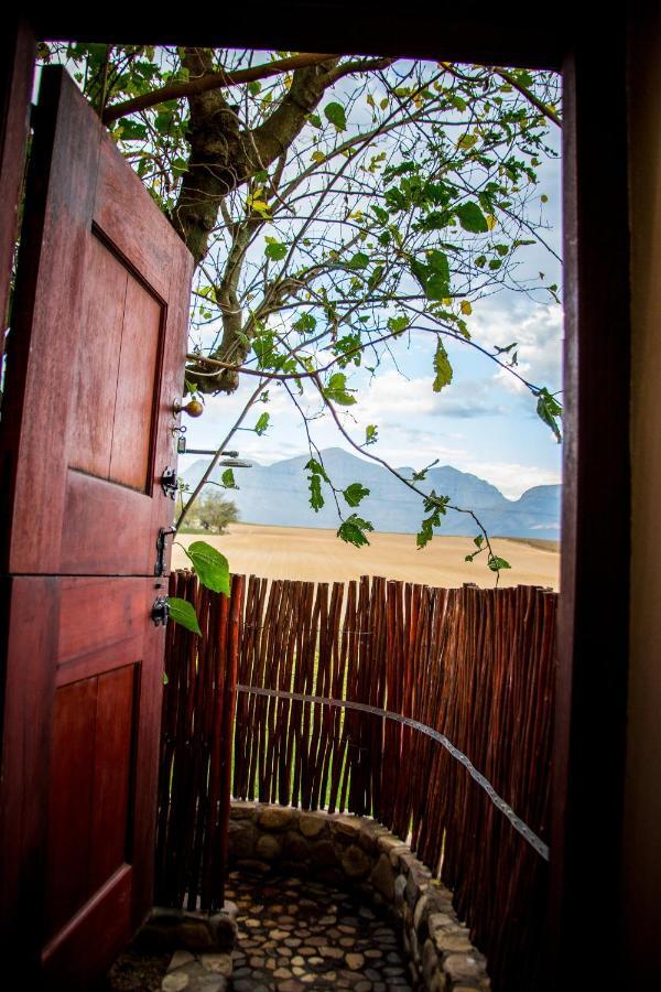 Vineyard Cottage At Bosman Wines ويلينغتون المظهر الخارجي الصورة