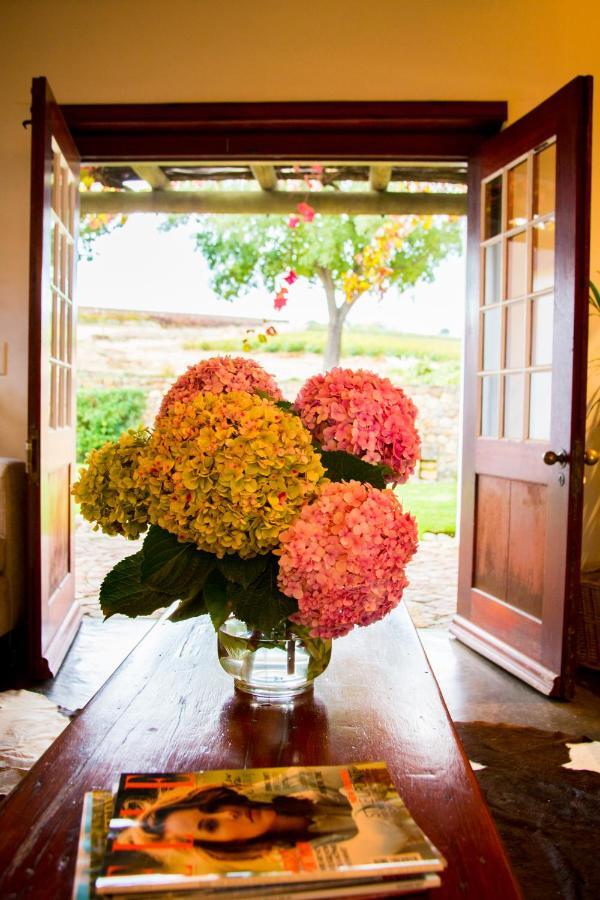 Vineyard Cottage At Bosman Wines ويلينغتون المظهر الخارجي الصورة